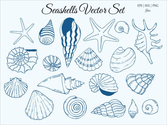 Download Shells Vector Set, PNG, SVG, EPS - Vector Collection
