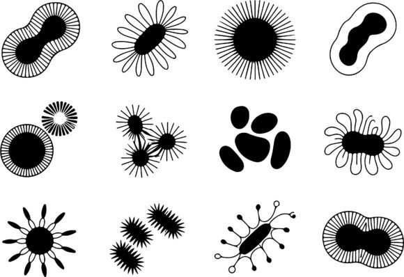 Download Abstract Organic Shapes Clipart Vector - Vector Collection